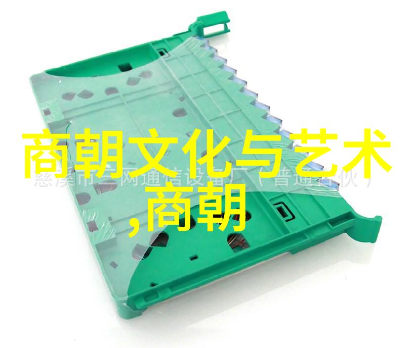 三十种交口图片表-纽约时报探索30个瞬间捕捉城市交口的艺术与科技融合