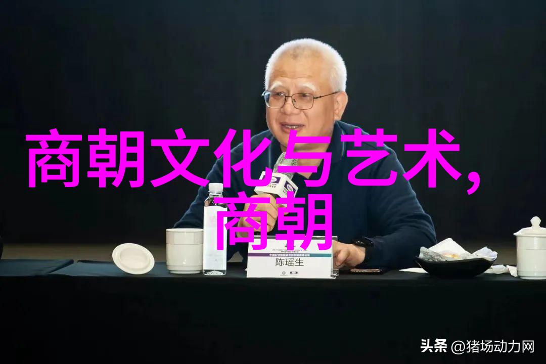 在黄梅戏全场中导演如何平衡剧情歌曲和舞蹈使整体表演更上乘