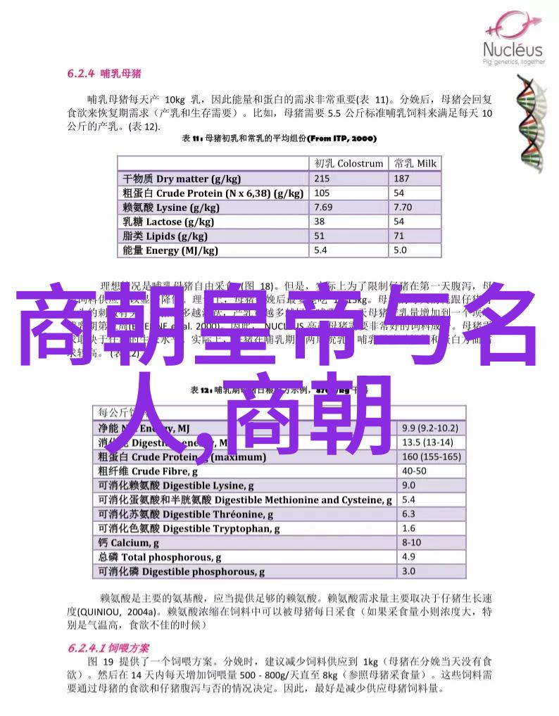 构建卓越企业文化阿里巴巴集团的团队精神与创新驱动模式探究