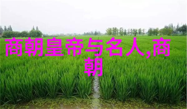 皇权与民生明朝社会结构和生活状况最佳参考书目是什么