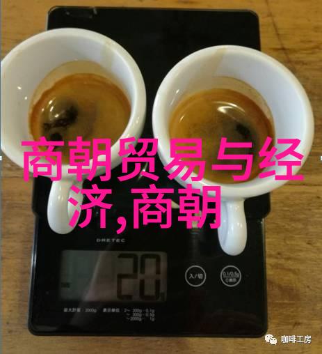 龙城霸业揭秘明朝的强盛之谜