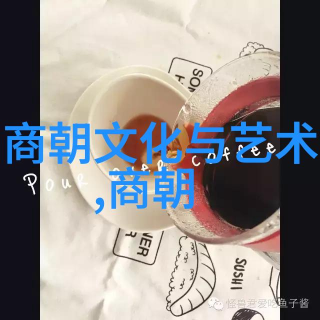 书本外的世界观察者为何要让初中学生看这些影像记录