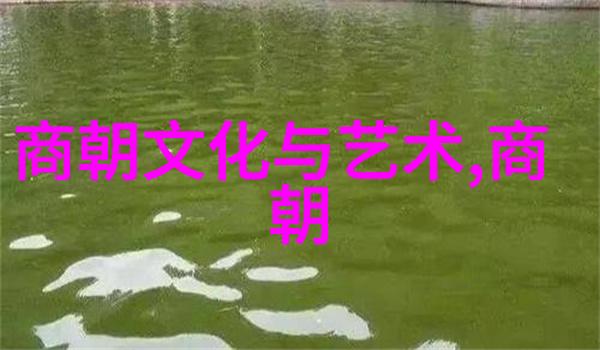 数字密码与秘密花园解锁77qqq背后的故事