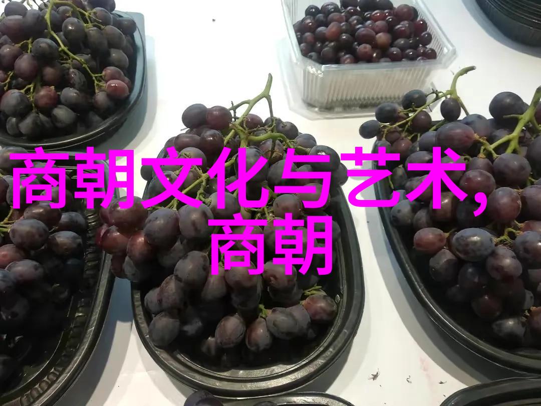 明朝最失败的十大决策背后隐藏着怎样的历史秘密