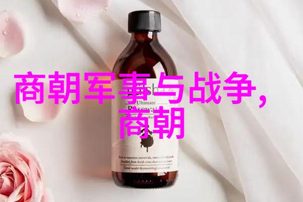 明清两朝比较研究技术创新与社会发展的对比分析