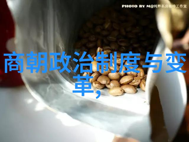 史诗般的一生传奇般的一代从马可波罗到现代人眼中的大汗