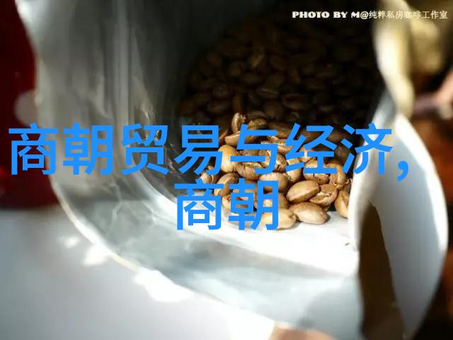 明宣宗朱瞻基短寿原因分析