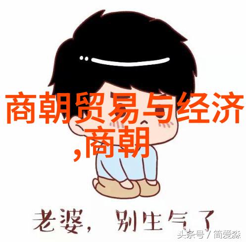 元朝的辉煌与衰落从大到小再到零