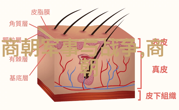 三国英雄-关羽手中的刀锋杀伐与忠诚的代价