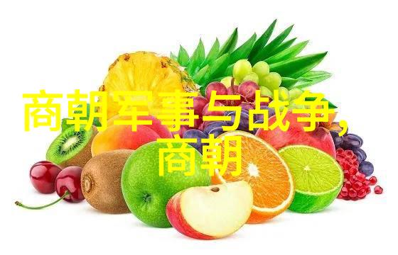 宋朝历史应用宋代历史知识学习平台