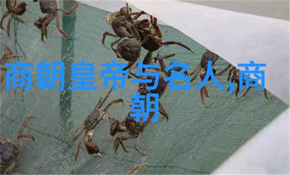 从征途到绝路沉浮人生的影子重温那场决定性的一役揭开历史尘封面纱让我们一起走进那被永恒时间洗礼过的地平