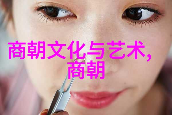 从江山到文化清朝与明朝的比较研究