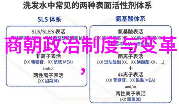 历史谜团-刘伯温与马皇后的秘密情缘揭开明朝宫廷中的真相