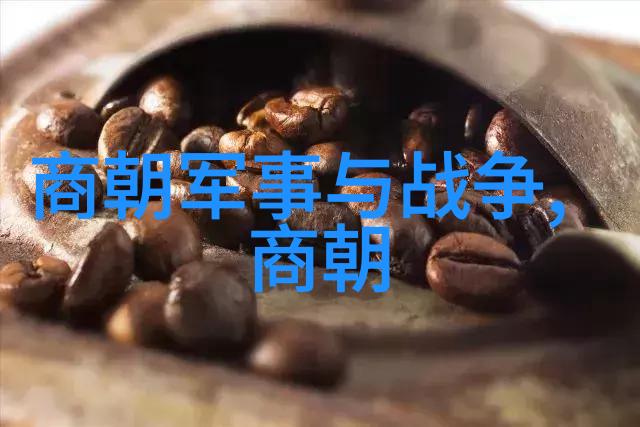 明朝族谱简图揭秘皇家后裔的血缘联系