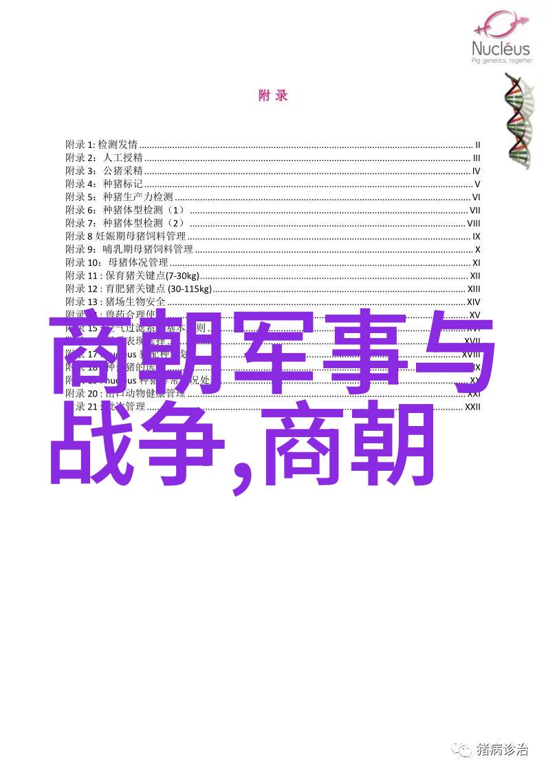 元朝历史科技成就 - 元代科学技术的辉煌从火药到天文仪器