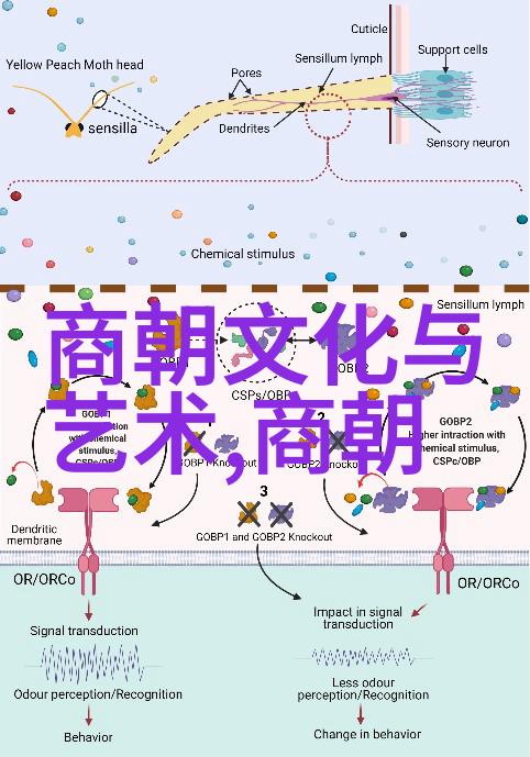 翡翠宫殿的沉默