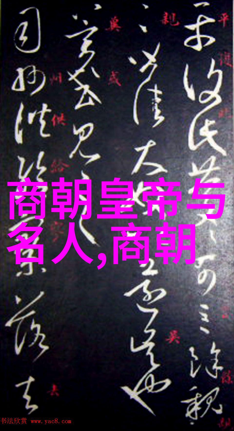 朝代发展历史秦朝的崛起与衰亡背后的关键因素是什么