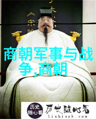 从畫布到紙張从石刻到碑文尋找中國書體之美