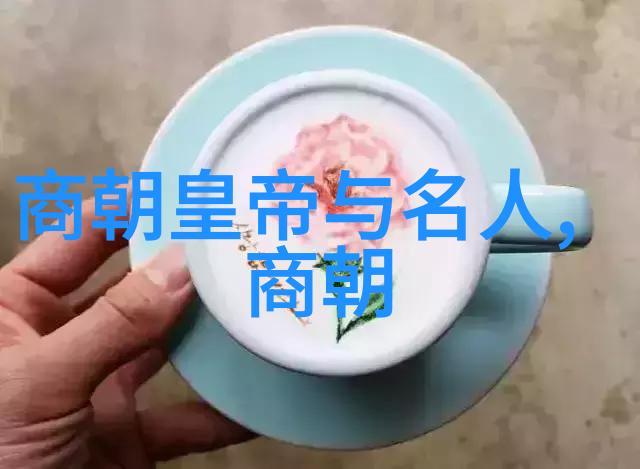 明朝名人一览表揭秘明朝为何放弃越南的历史背景