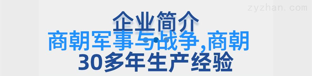 元朝知识点-揭秘元朝历史文化与政治制度的融合