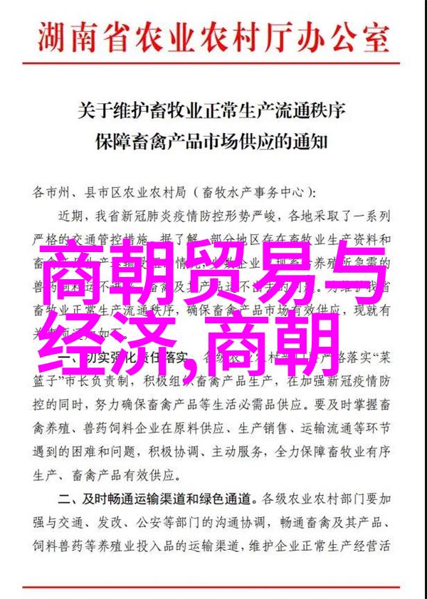 小说中的婚姻悲剧爱情与幻灭的交错