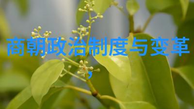 火热历史课堂老师的传记与学生成长