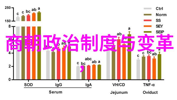 神话奇遇龙腾四海的守护者