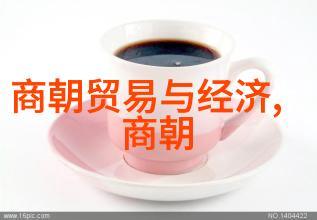 金熙宗是如何处理与周边民族关系的问题