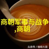 49式动作-跳水运动中的精彩瞬间49式动作的魅力