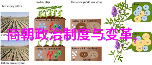 河南豫剧常香玉经典唱段 - 常香玉豫剧中的音韵之冠