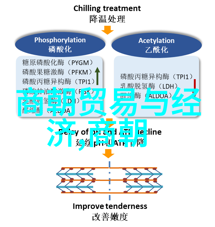 唐朝李泌策略与梦想的交响曲