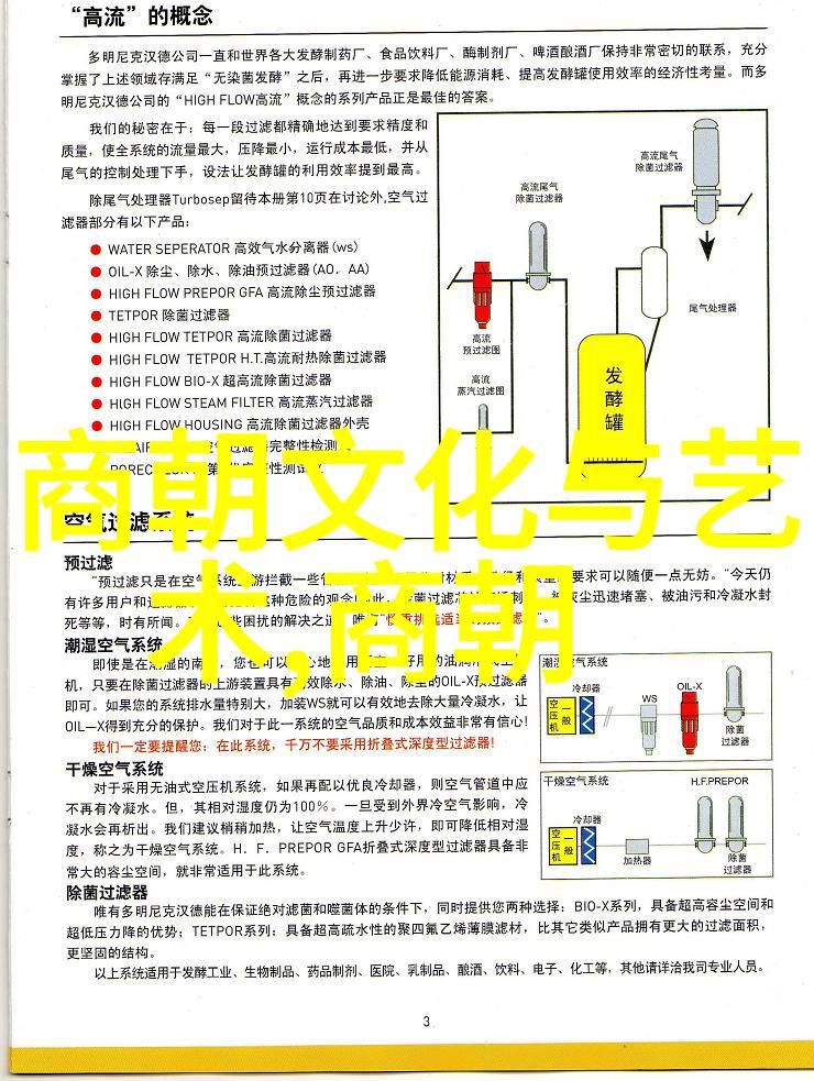 中国的历史-龙脉流变探索中华文明的千年足迹