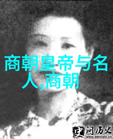 明朝那些事历史的长河与梗概的深度