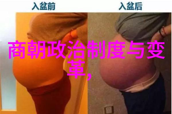 朱允文妻子结局从宫廷斗争到家常厨艺的逆袭