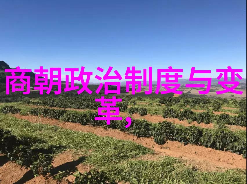 九种艺术分别是哪九种-探索传统与现代的艺术殿堂揭秘绘画雕塑音乐戏剧诗歌小说小说小说和舞蹈