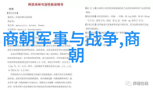 记忆与叙事剖析那些改变我们看待历史的电影作品