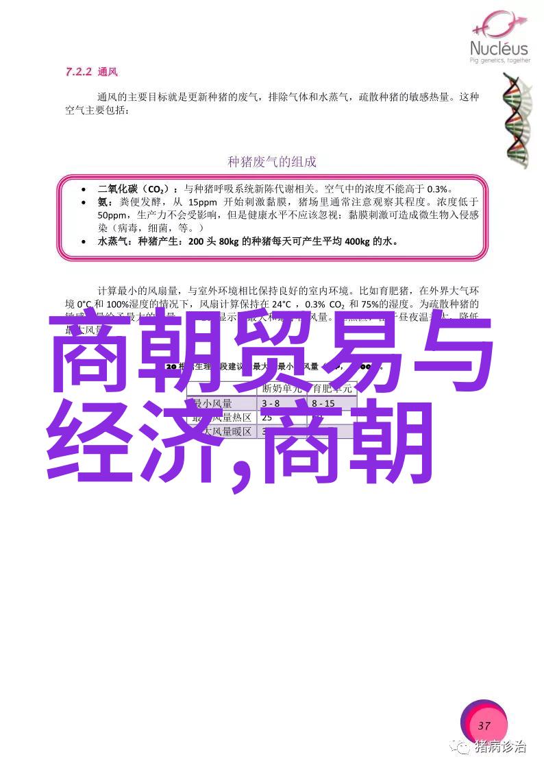 历史美术-探秘明朝画像揭开龙袍下的艺术真谛