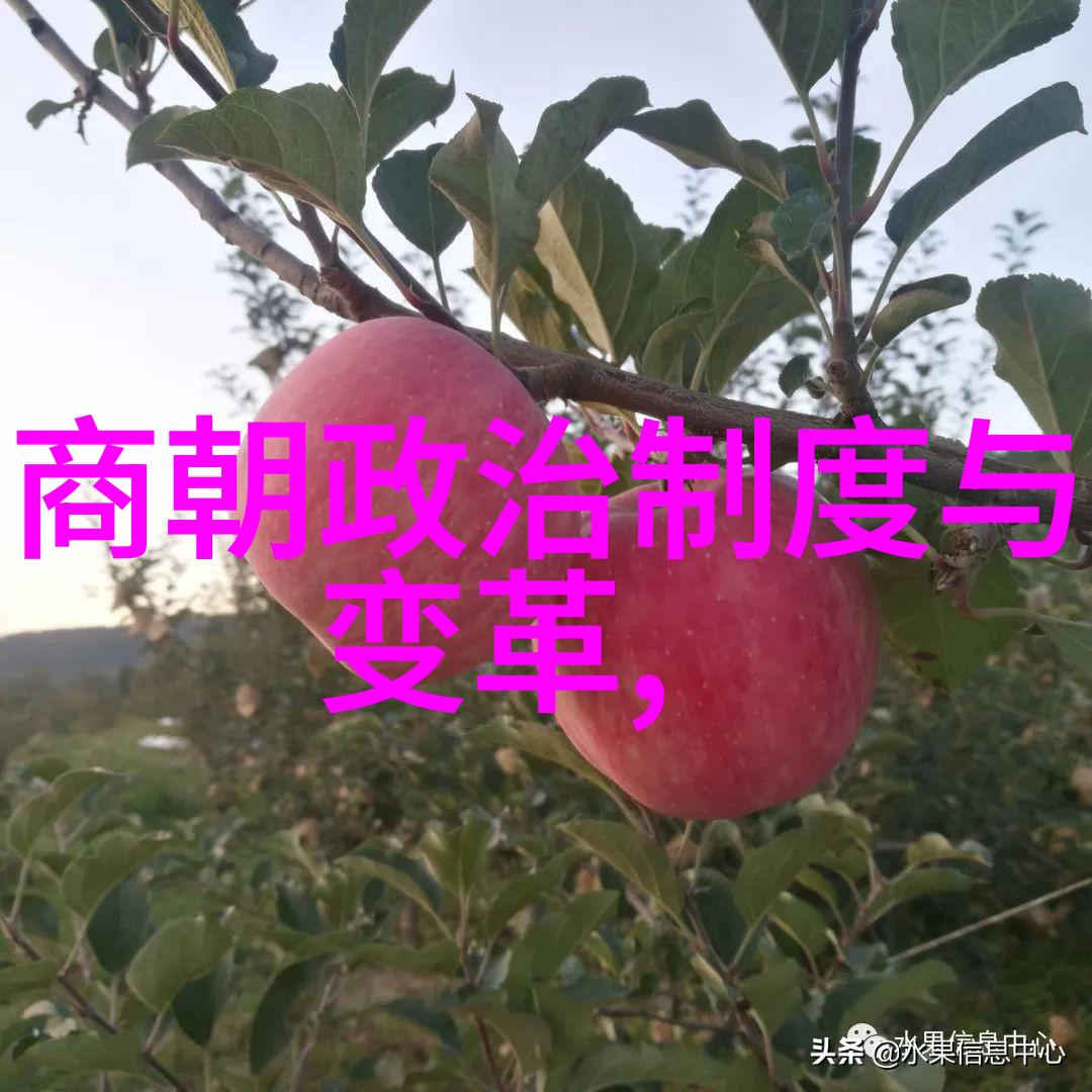 历史小故事时光的交响曲