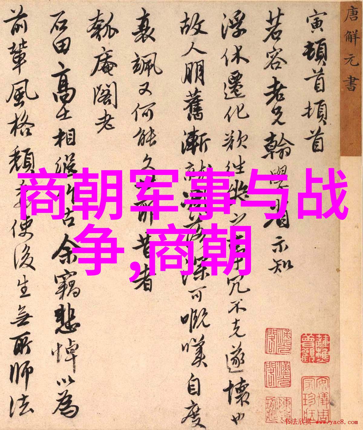 白虎将军守国记