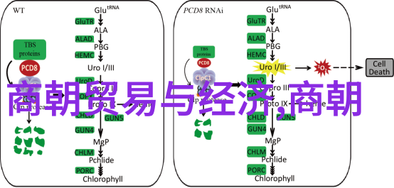 中国学生我是怎么在国外学校里遇到的那些趣事