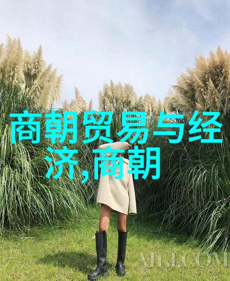 明末四大奇案揭秘皇权与民变的交锋