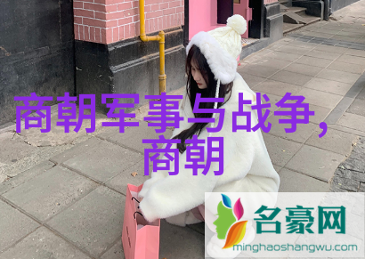 大明我是朱允熞灭亡前夜的奇幻录