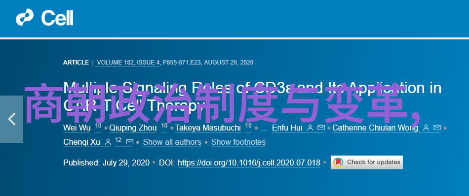 战场上的孤狼一名普通士兵的不平凡旅程