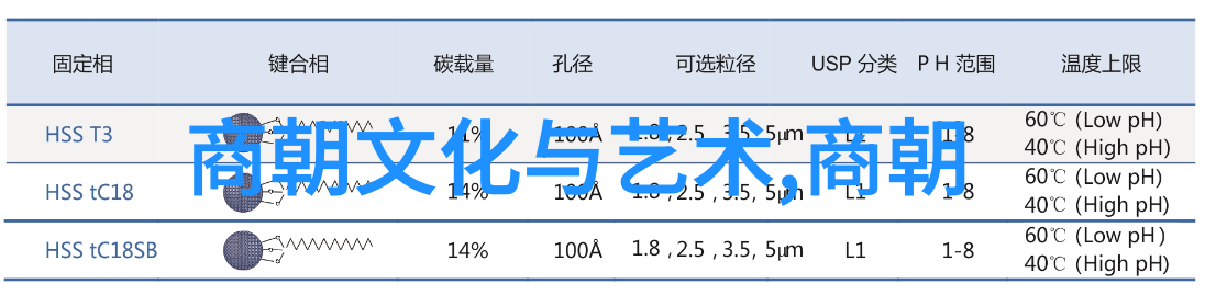 盛唐至明末探索中国古代王朝经济发展之路