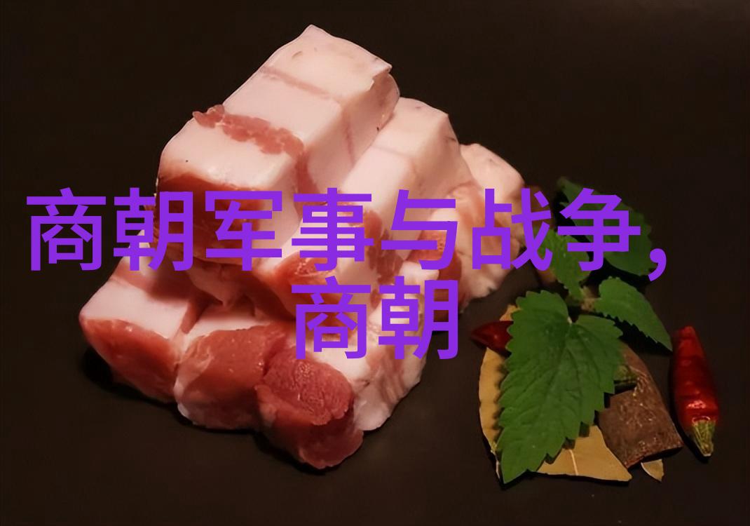 明代历代族谱中的沈周人物简介与书画特色分析