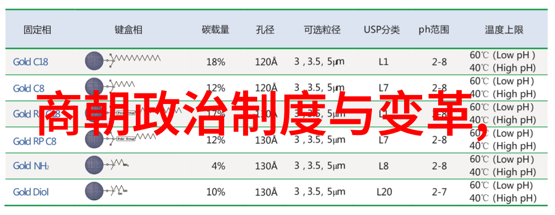 美妆技巧-半面妆一半自然一半亮泽的时尚挑战