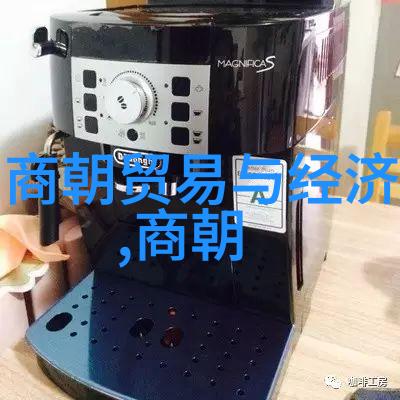 明朝十大奇才与一大愣子揭秘那些名将未必是学霸