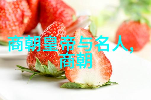 明朝风华当代史鉴与名臣传