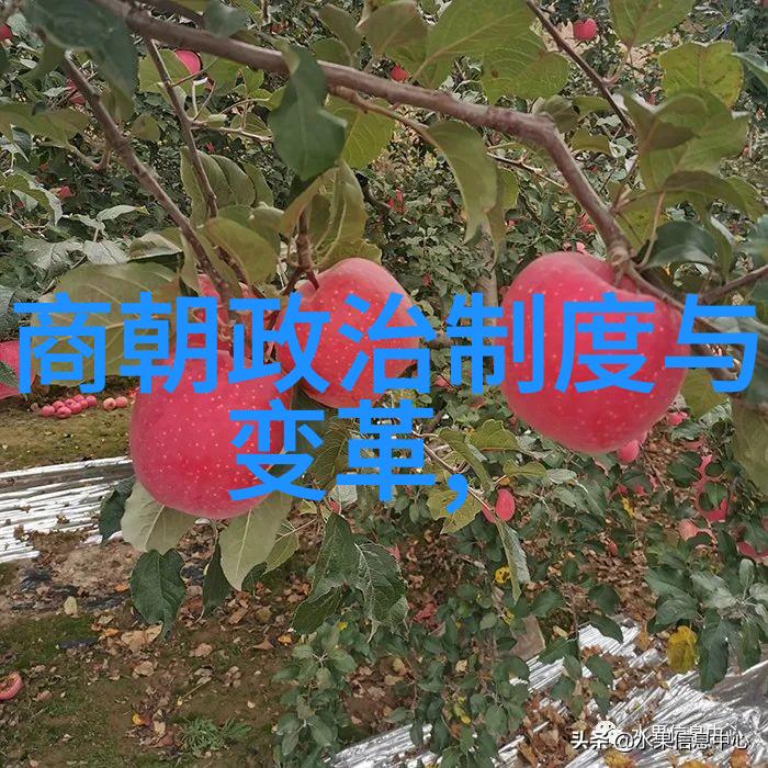 根据民间传说花木兰是否真的存在于某个历史时代之中