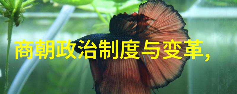 介绍一个神话故事我怎样在山野间遇见了变形金刚